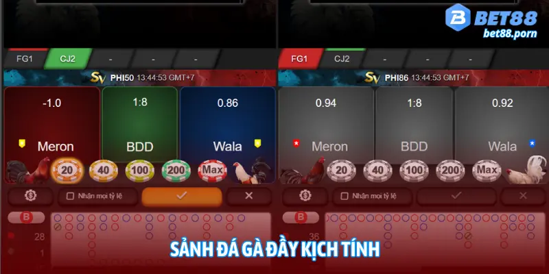 đá gà kịch tính mang đến nhiều cơ khủng cho hội viên