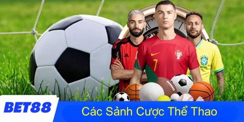 Các sảnh cược thể thao nổi tiếng đang hợp tác cùng BET88