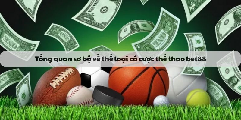 Đối tác hàng đầu tại thể thao Bet88