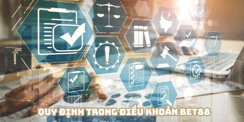 Hội viên cần nắm vững các quy định trong điều khoản BET88