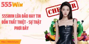 555WIN Lừa Đảo Hay Tin Đồn Thất Thiệt - Sự Thật Phơi Bày