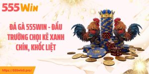 Đá Gà 555WIN - Đấu Trường Chọi Kê Xanh Chín, Khốc Liệt